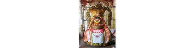 ஸ்ரீ சக்கர சண்முகர், உபயகதிர்காமம்